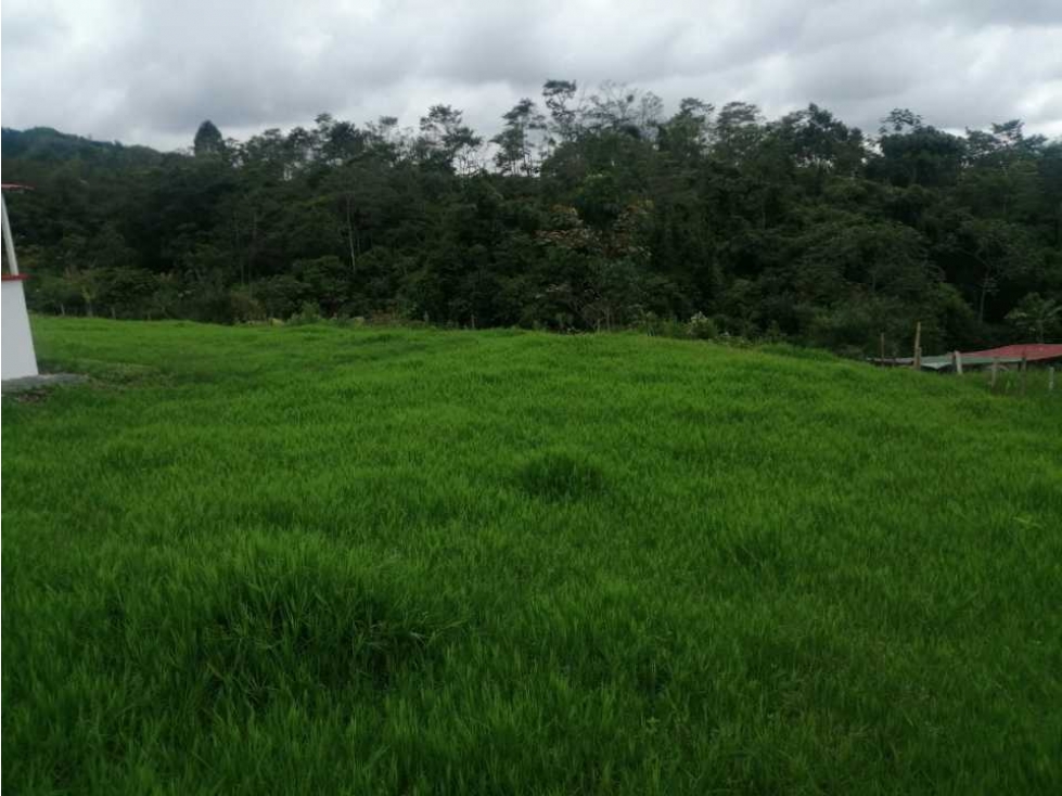 Casa campestre para la venta en Pereira vía a mundo nuevo