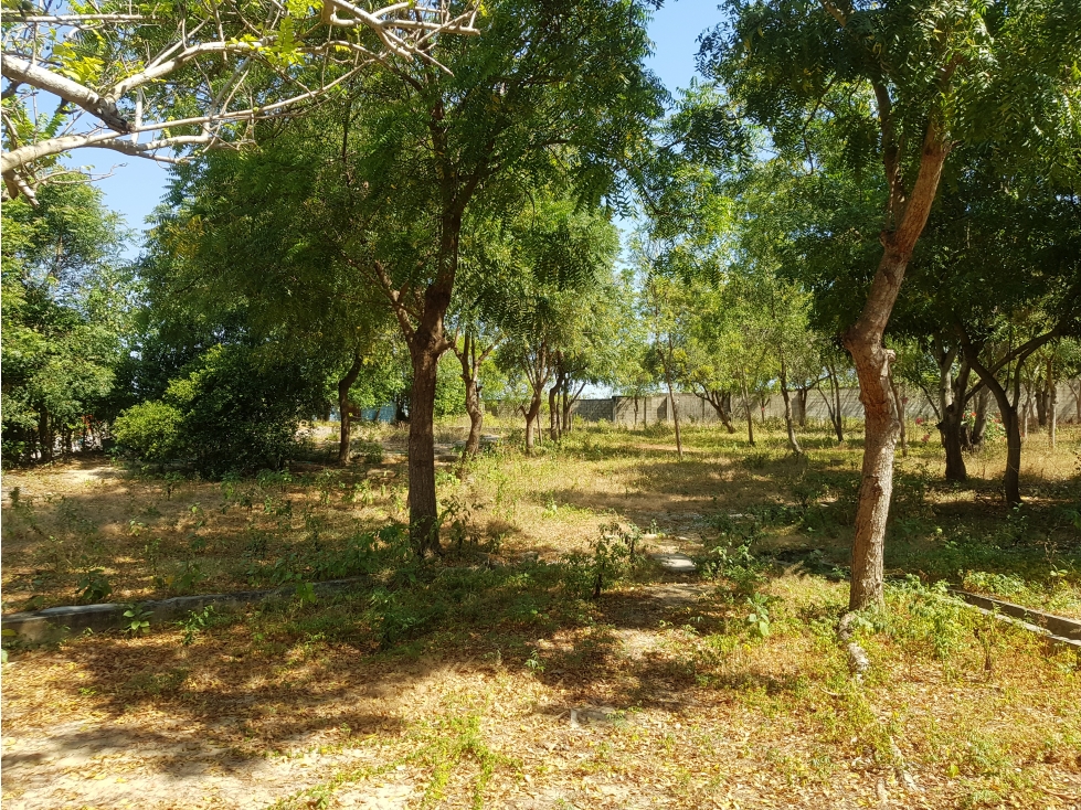 Vendo Lote en Galapa BRP 183150-2236193