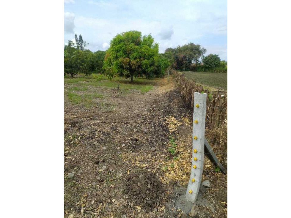 VENDO FINCA EN SANTA ELENA (CERRITO VALLE) T.P