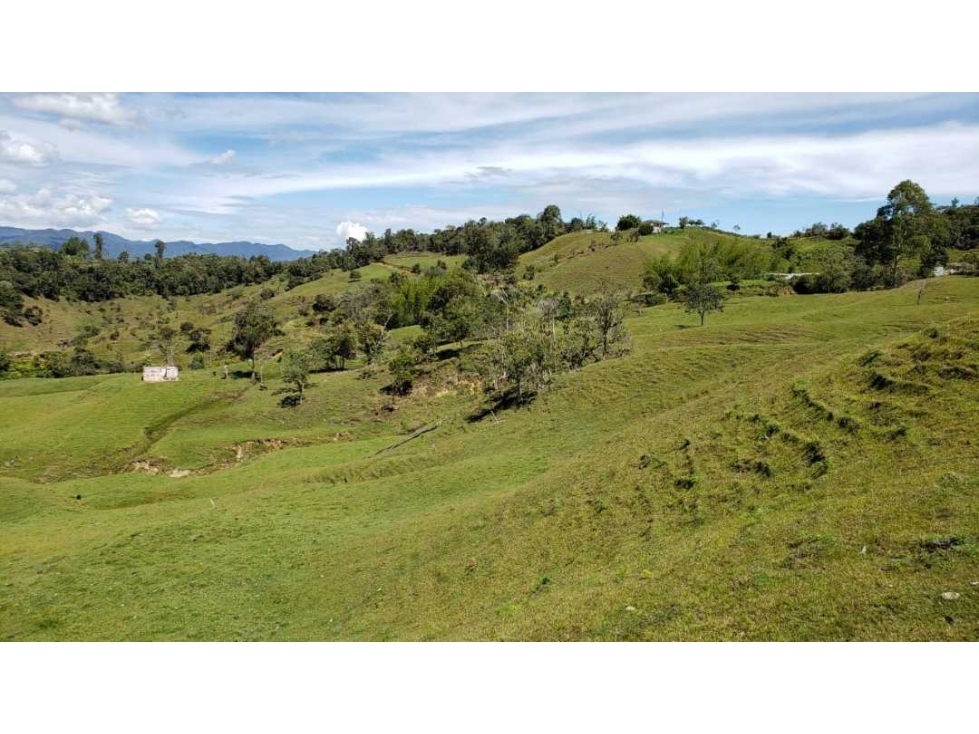 Finca en Venta en El Peñol Guatapé para Parcelar