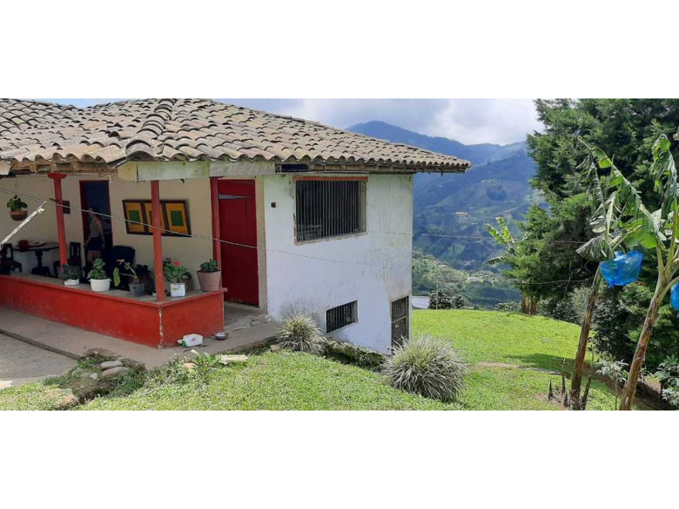 Finca cafetera para la venta vereda el chuzo Santa Rosa de Cabal