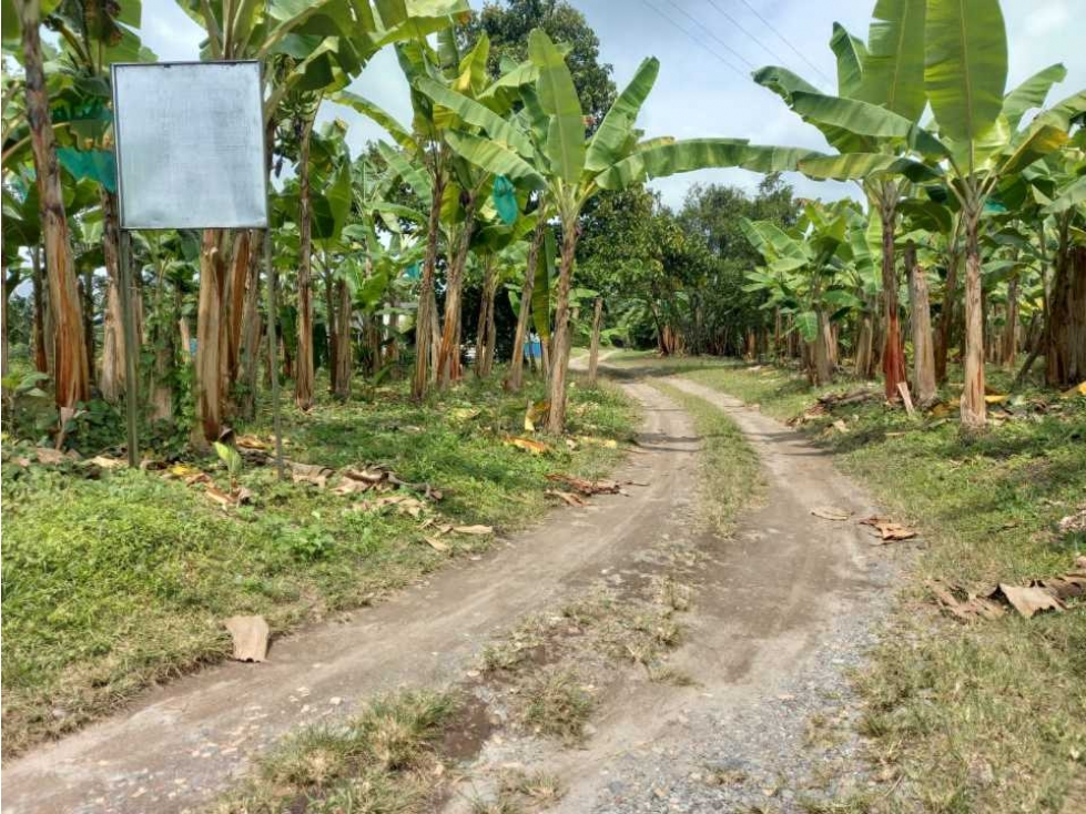 Finca de 21 cuadra para la venta en el caimo topografia plana con agua