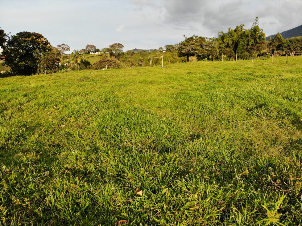 LOTES EN BARBOSA CON EXCELENTE TOPOGRAFIA Y UBICACION