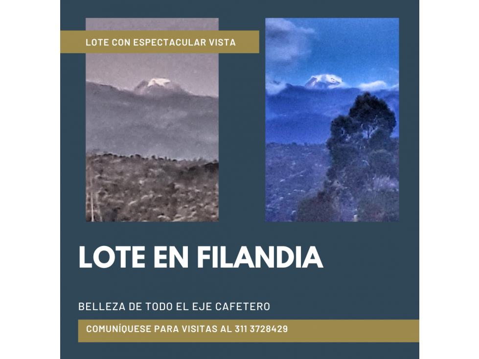 LOTE DE 7.5 CUADRAS EN LA  ENTRADA A FILANDIA 5588