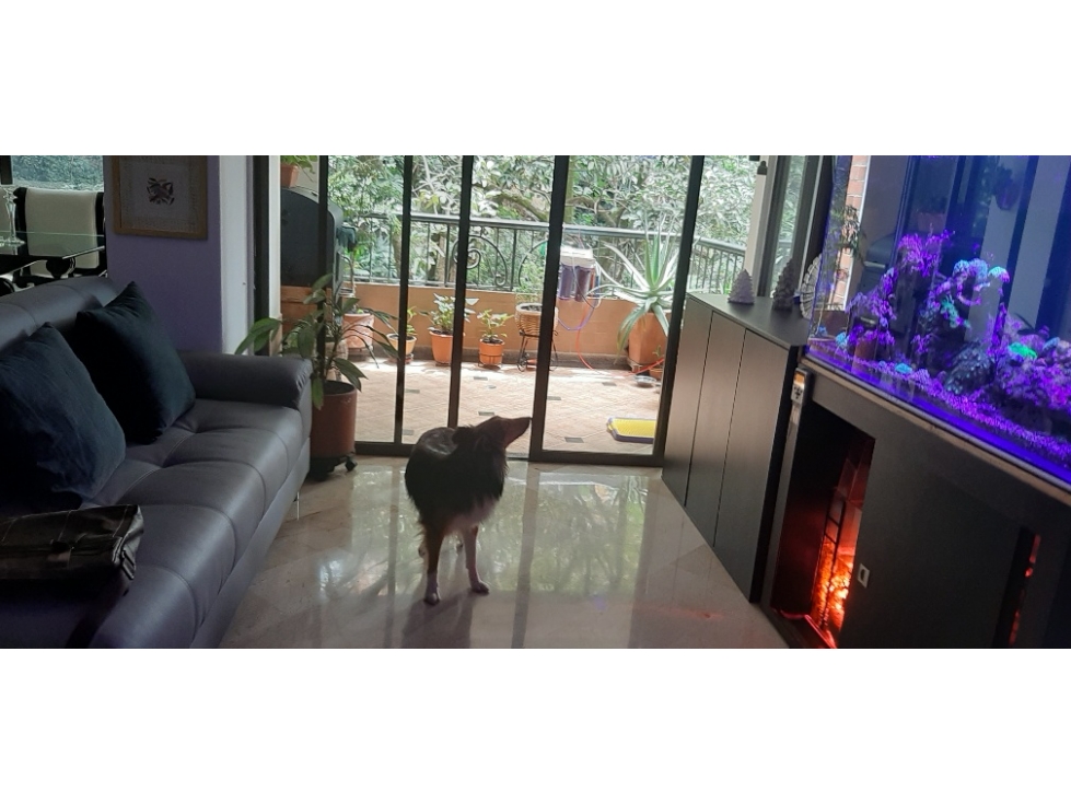 VENDO APARTAMENTO CLASICO AMPLIO E ILMUNADO SECTOR VIZCAYA POBLADO