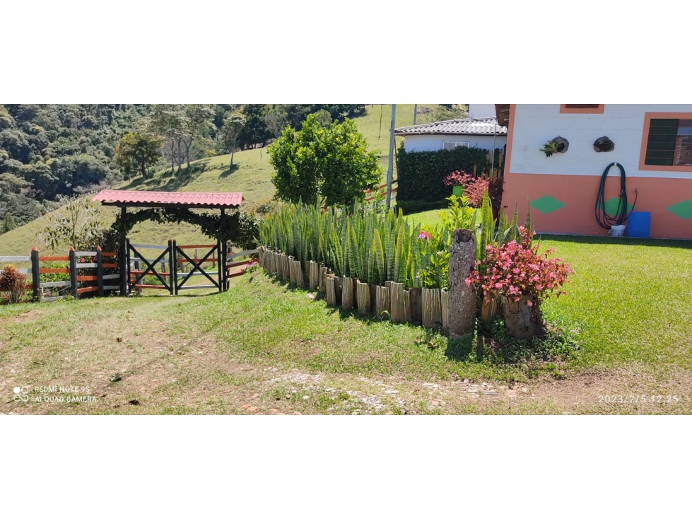 VENTA HERMOSA  FINCA  MONTEBELLO ANTIOQUIA , 11.5 HECTAREAS