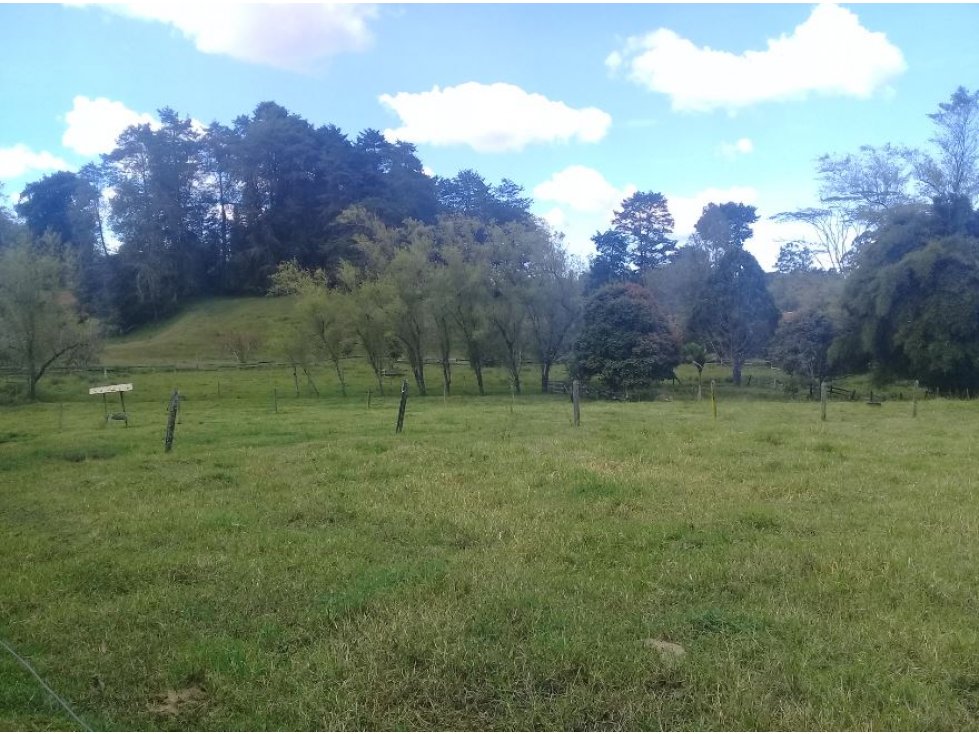 Finca en Venta sector Pontezuela en Rionegro