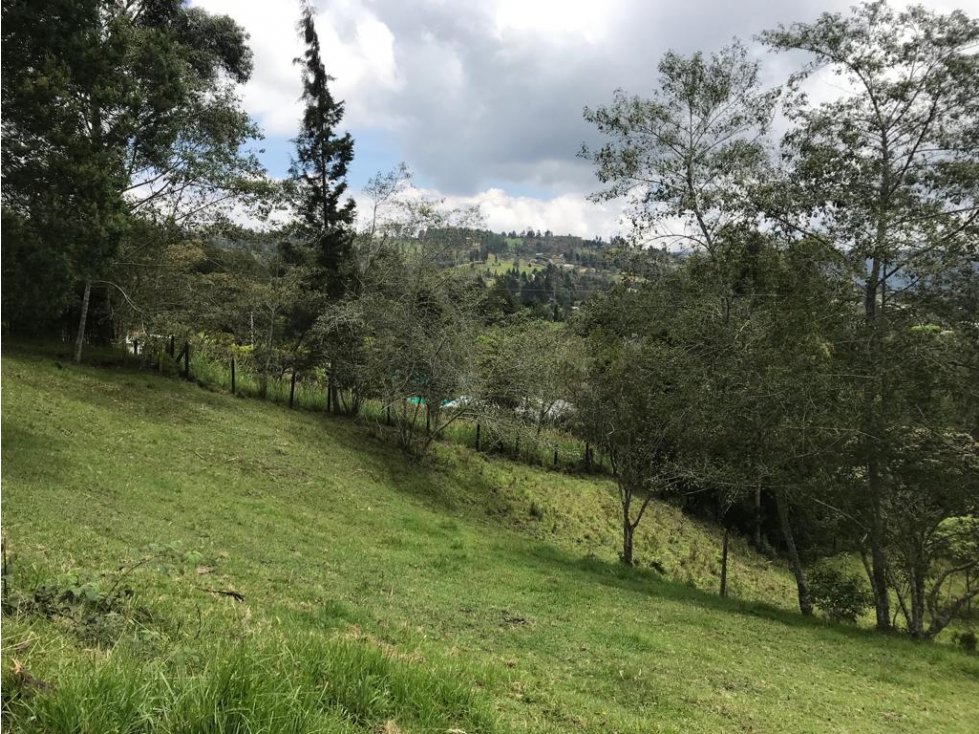 Lote en Venta en Guarne sector Garrapatas