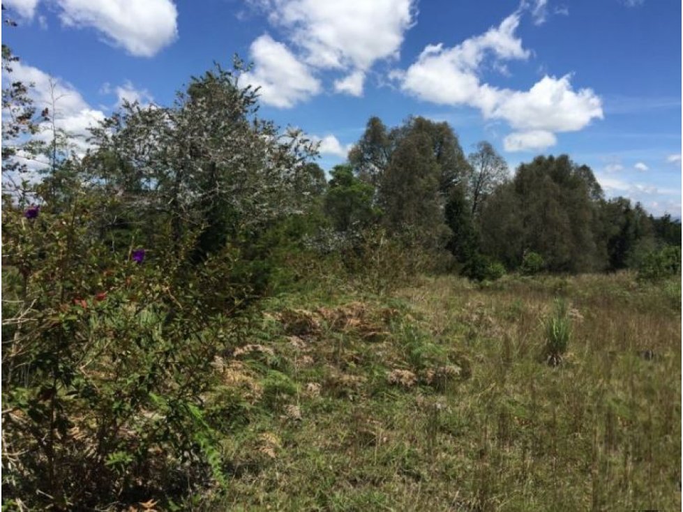 Lote en Venta sector Rancherías en Rionegro