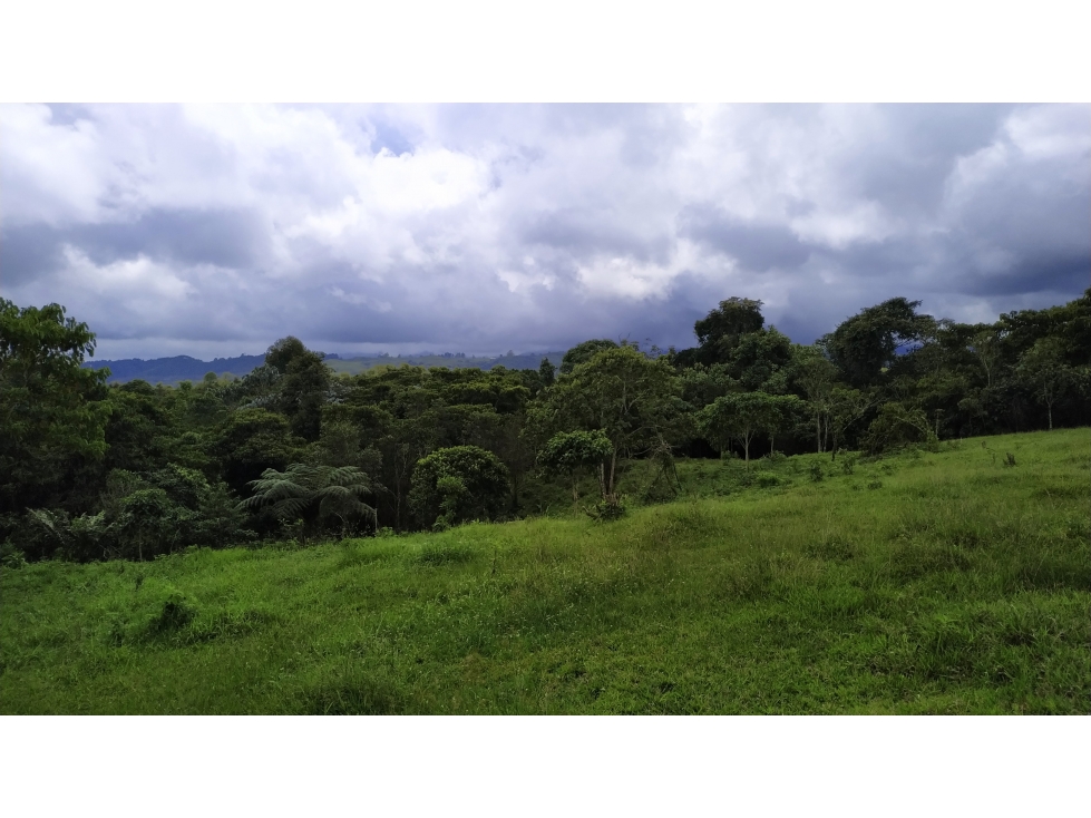 Espectacular BODEGA lote suburbano, Filandia Quindio