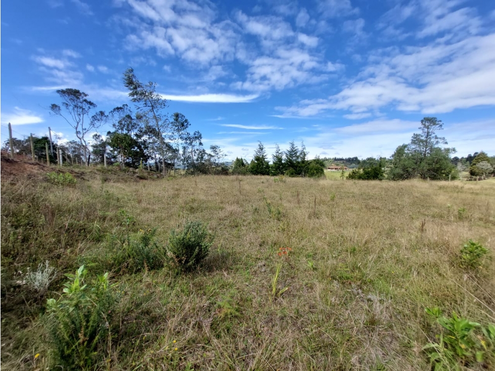 Venta de Lote en Guarne Vereda Piedras Blancas Sector La Brizuela