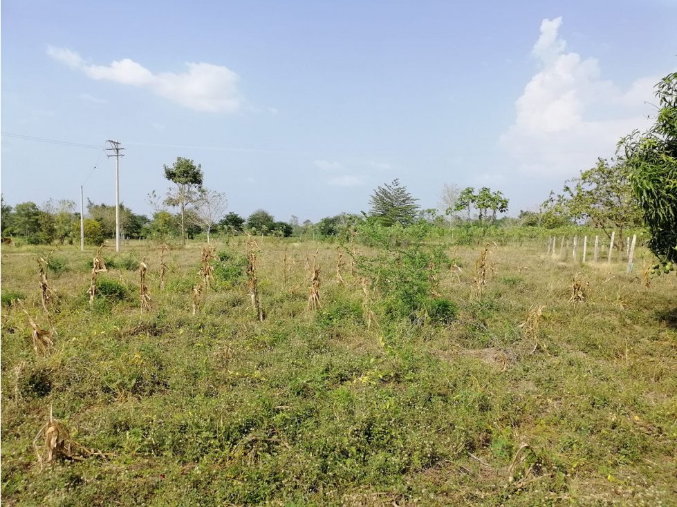VENTA DE LOTE URBANIZACIÓN CALIFORNIA, MONTERÍA
