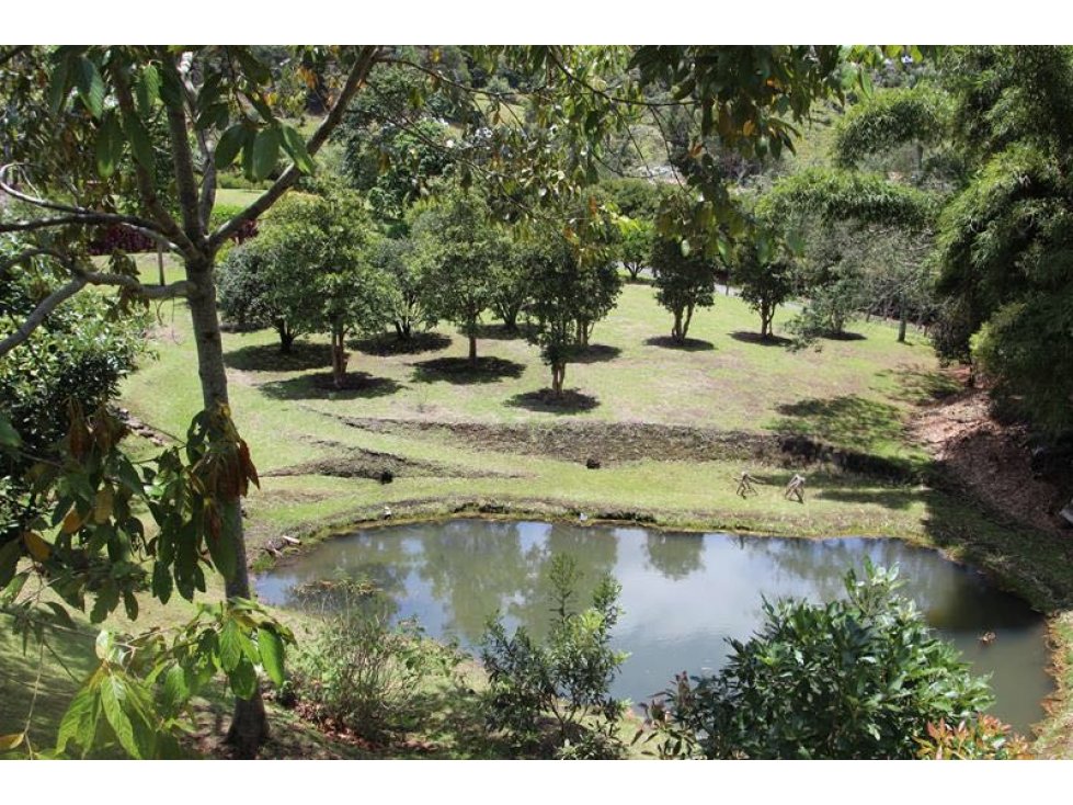 Finca en  venta la Ceja vía Rionegro  parcelacion 1807or