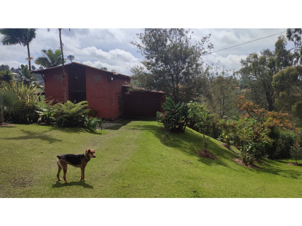 #vendo casa finca en La vía Rionegro al Carmen de Viboral Antioquia