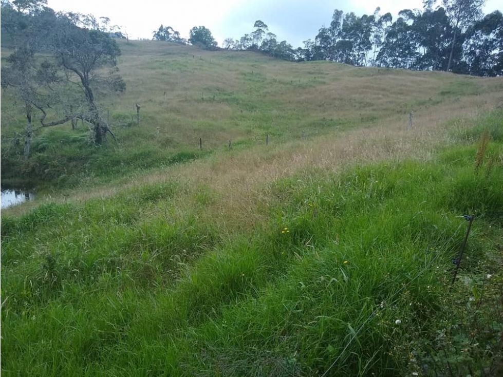 Vendo Finca en Pacho Cundinamarca de 11 Fanegadas