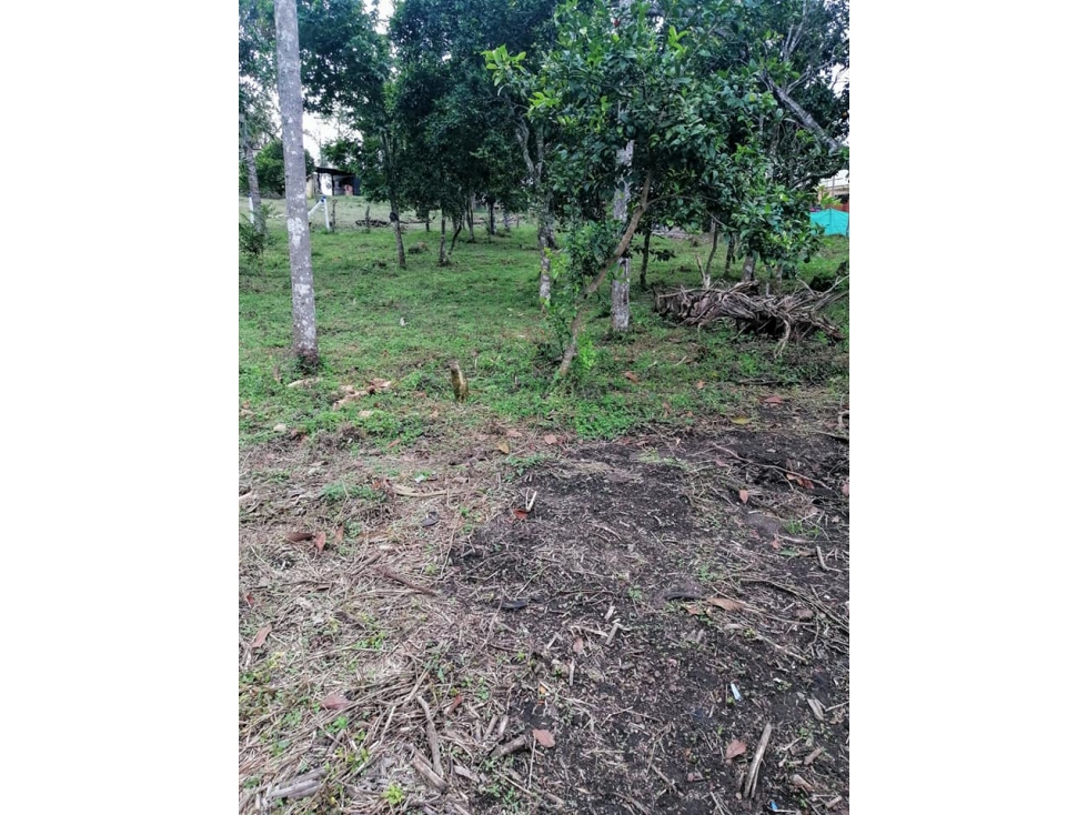 Vendo Lote en Pacho Cundinamarca  de 1400 M2