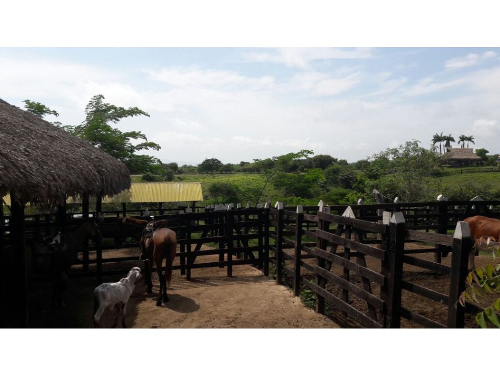 Finca en venta Arjona