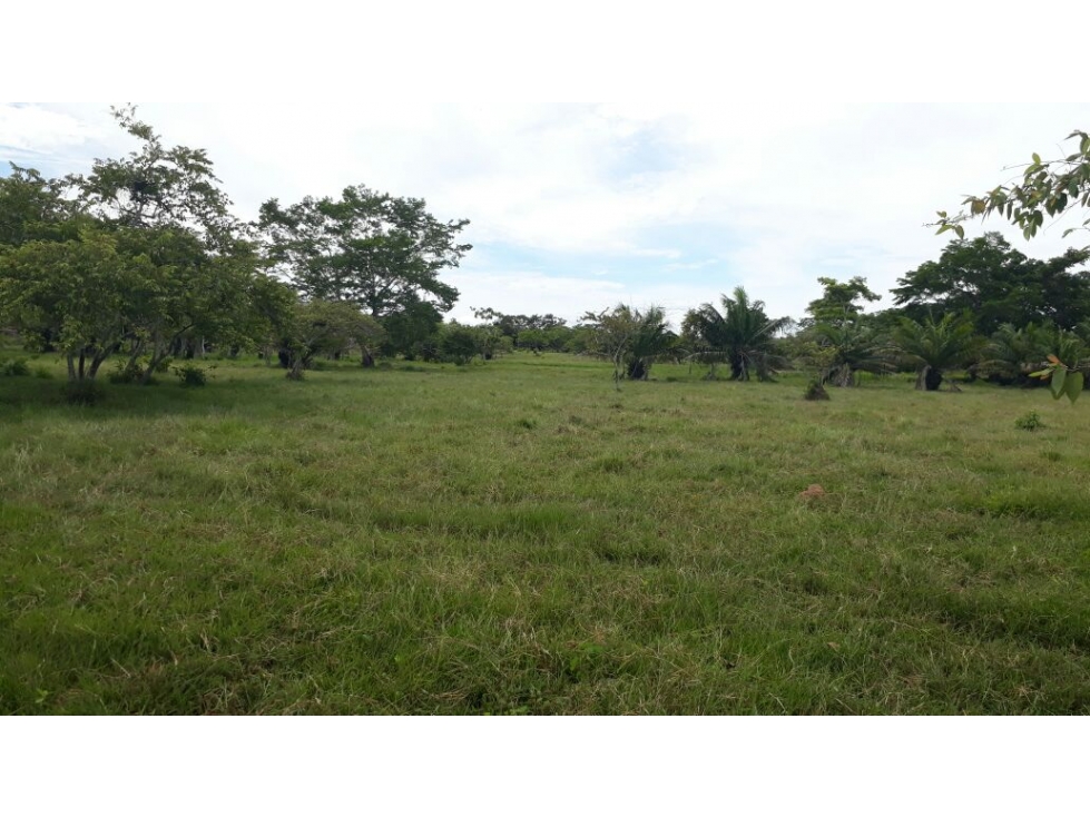 FINCA EN PLANETA RICA, CÓRDOBA