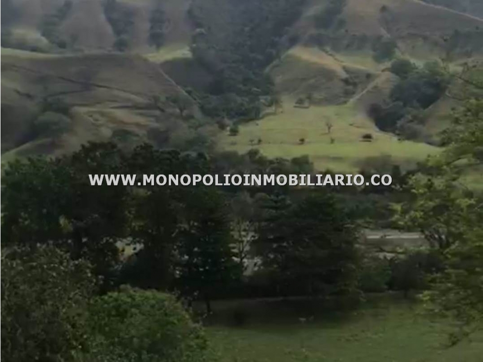 LOTE EN VENTA - SECTOR SANTA FE DE ANTIOQUIA COD: 23471