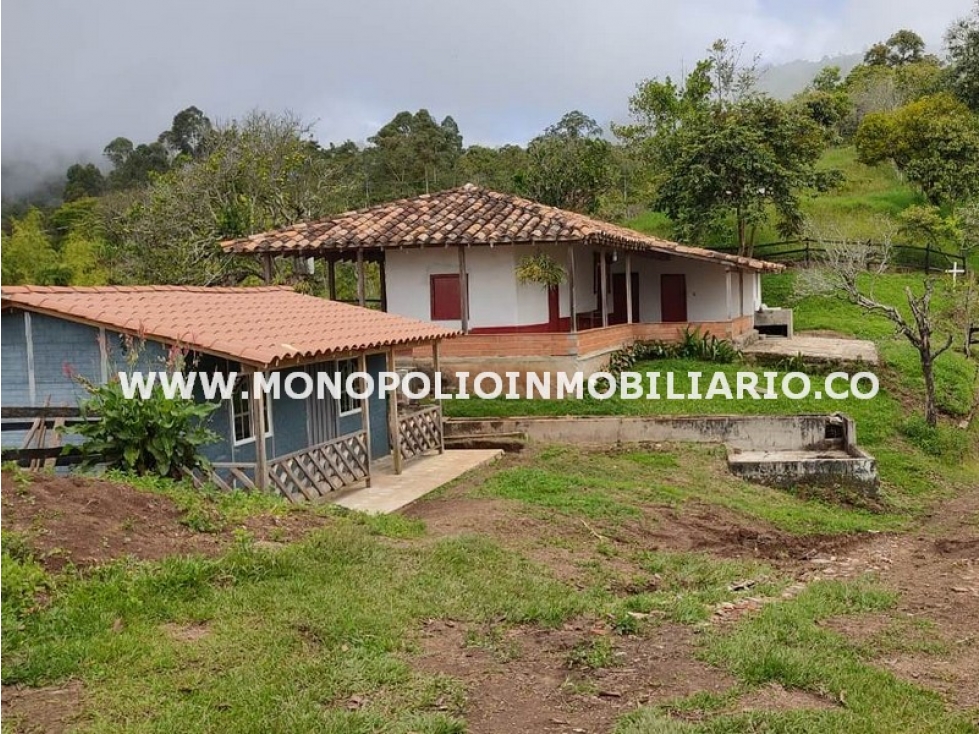 CASA AMOBLADA EN ARRIENDO - SECTOR MADERAS, FREDONIA COD: 22881