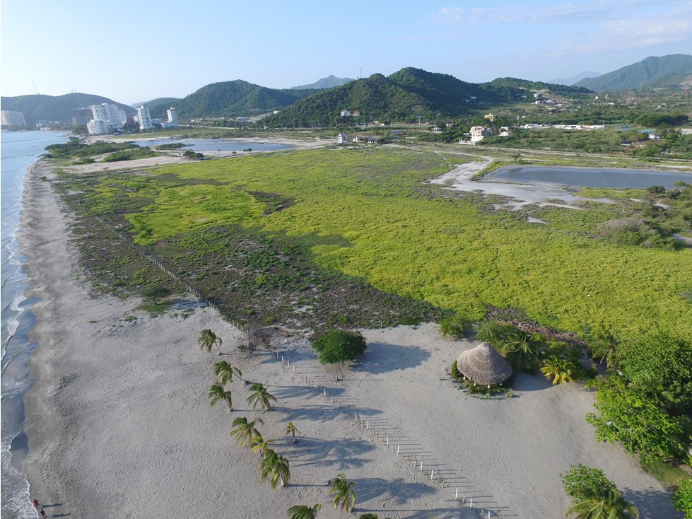 LOTE EN POZOS COLORADOS SANTA MARTA