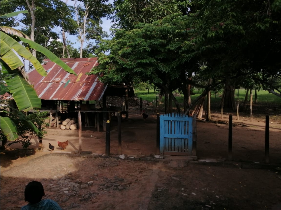 SE VENDE FINCA CERCA DE MONTERIA