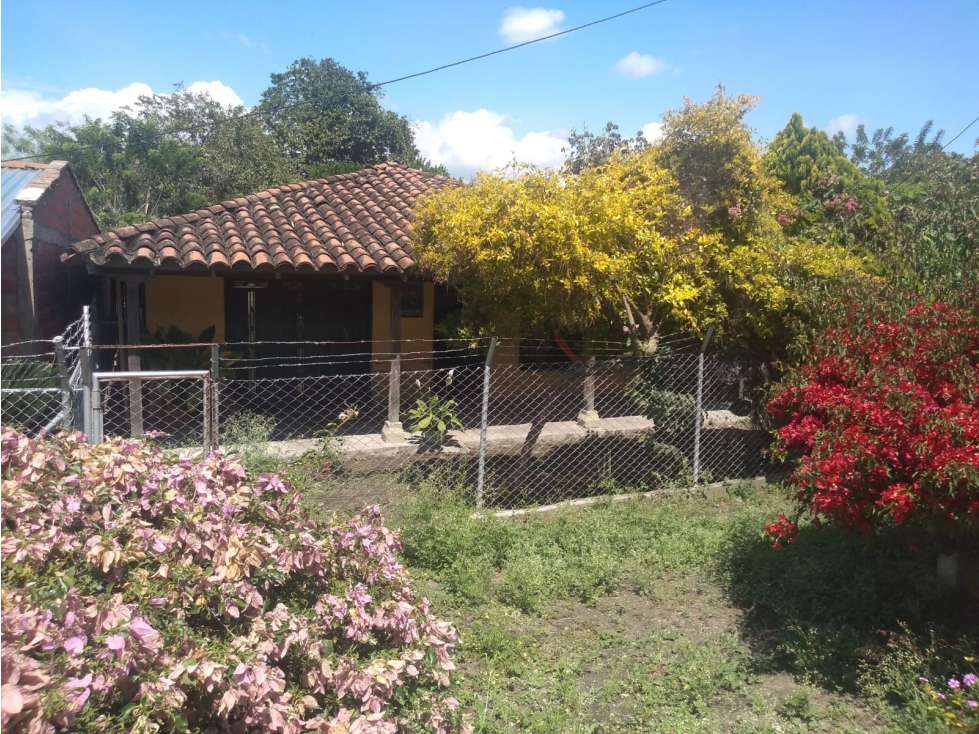 VENTA LOTE CON MEJORA ROZO VALLE DEL CAUCA