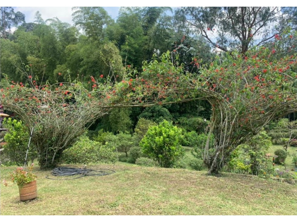 VENTA HERMOSA FINCA CON APARTAMENTO EN VEREDA CONDINA PEREIRA