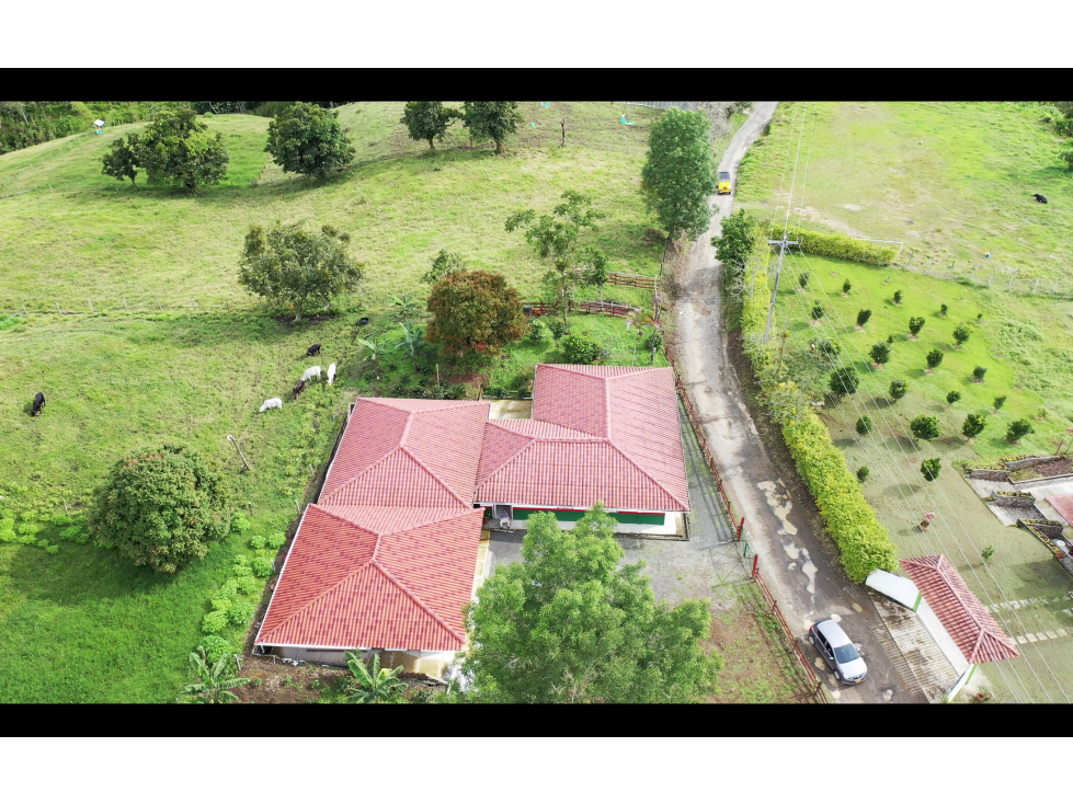 FINCA EN VENTA - FILANDIA - QUINDIO