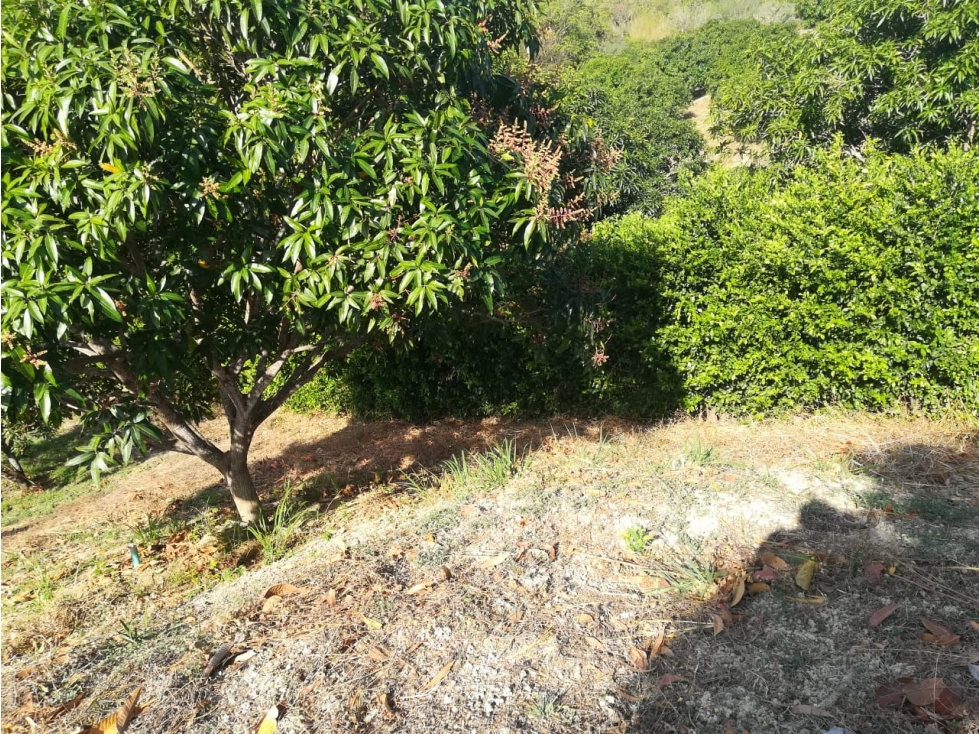 LOTE EN VENTA - SECTOR BONDIGUA, SANTA MARTA