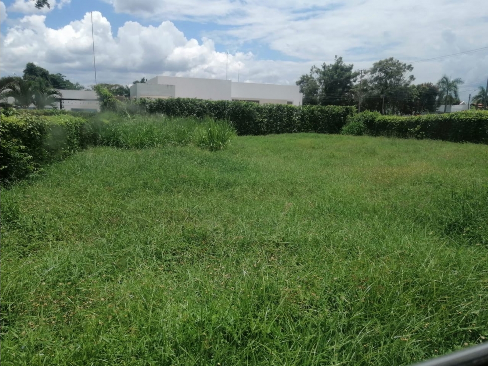 VENDO  LOTE ESQUINERO  CONDOMINIO SANTA  ANA FLANDES TOLIMA