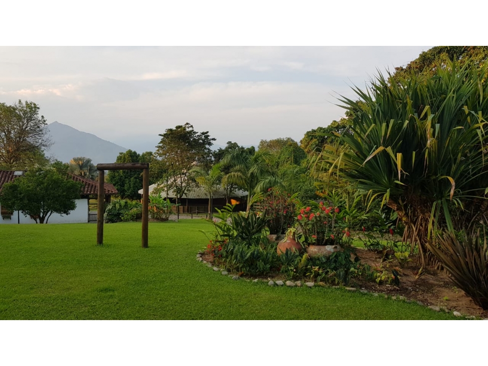 Venta finca venecia El rincon