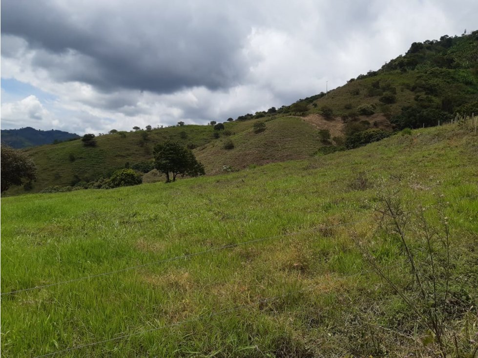 VENTA FINCA EN TULUA VALLE