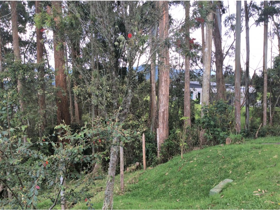 Venta Lote en Alto de Palmas, vía La Acuarela, parcelación privada