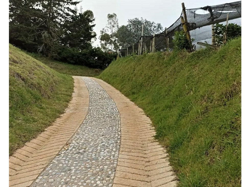 Lote Vereda El Tambo La Ceja