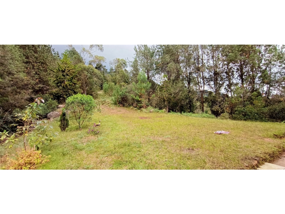 Lote Independiente Vereda Bella Vista Guarne