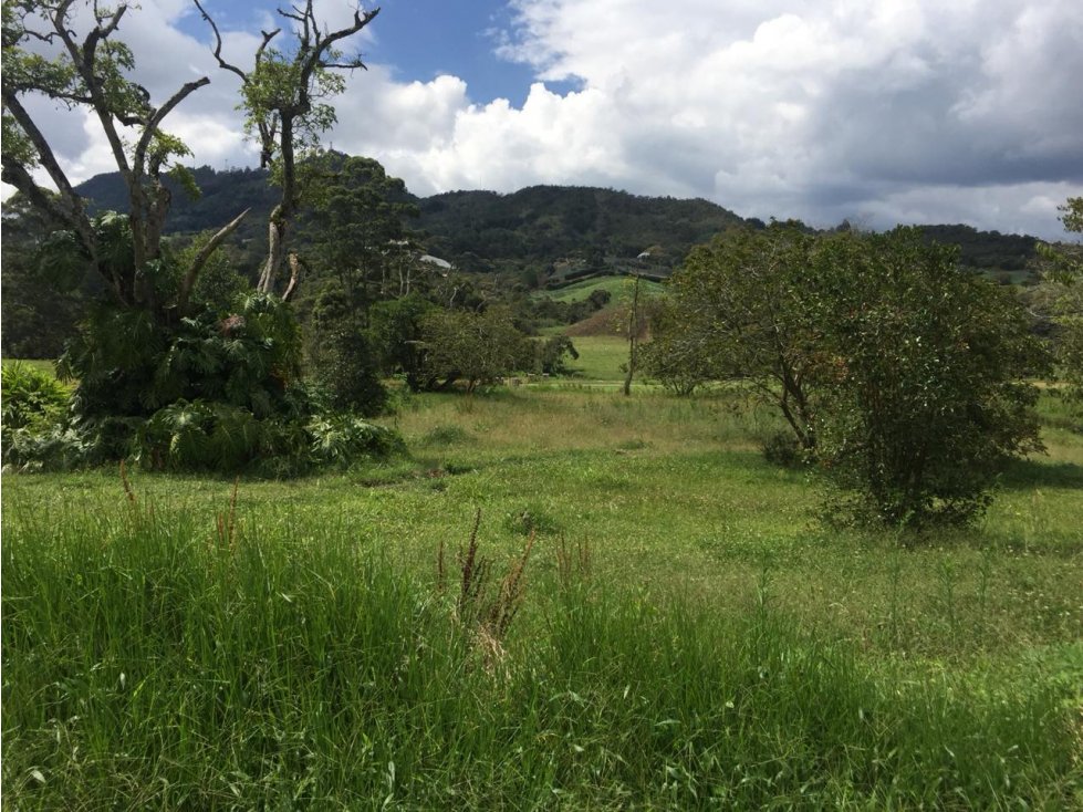 Venta Lote en el Carmen de Viboral