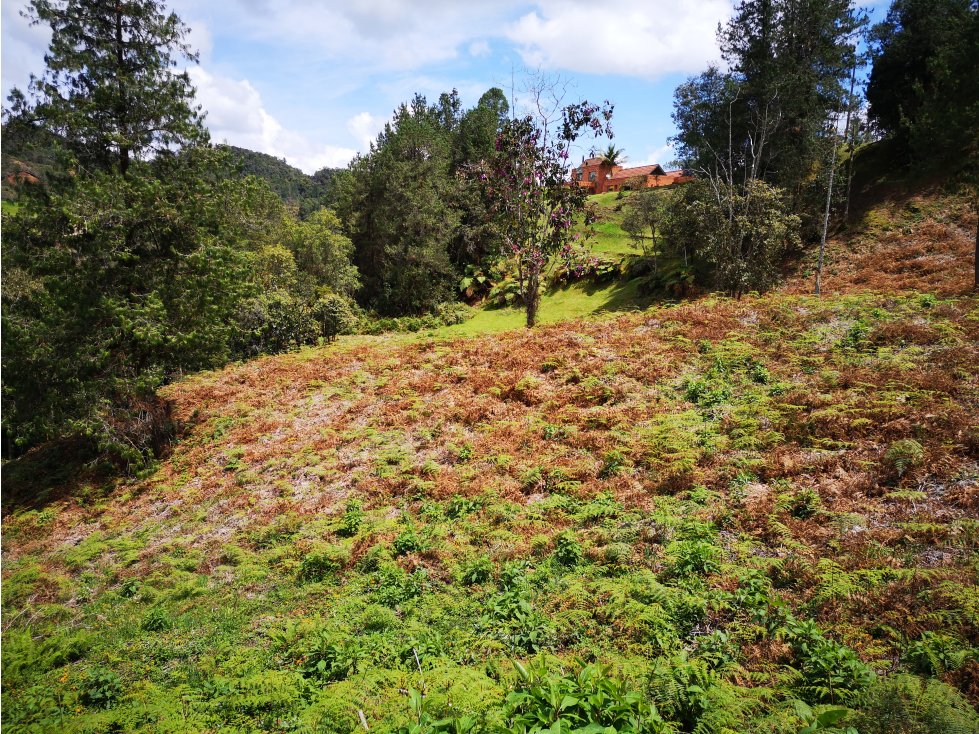 Venta de   Lote en El  Escobero