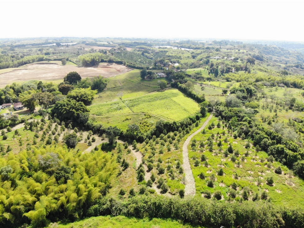 LOTE CON VISTA EN MONTENEGRO - QUINDÍO