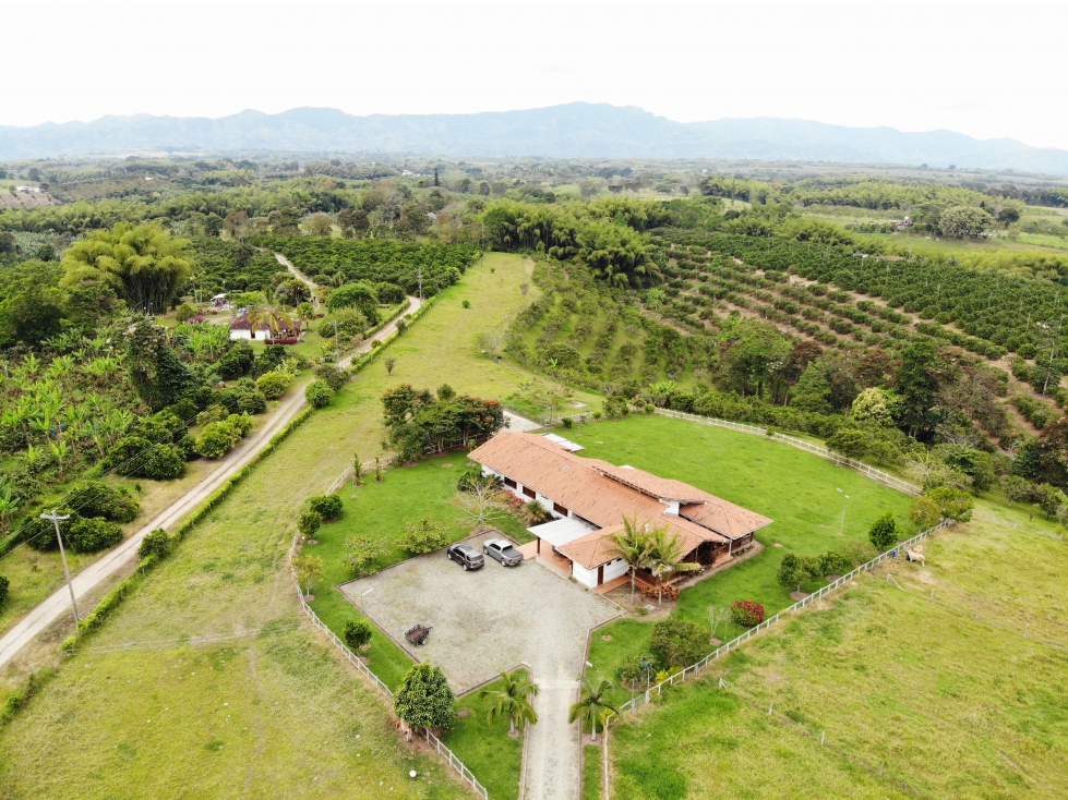 FINCA EN MONTENEGRO 45.000 M2