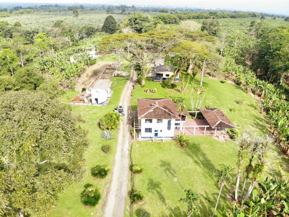 Finca plana en plátano 100 Cuadras