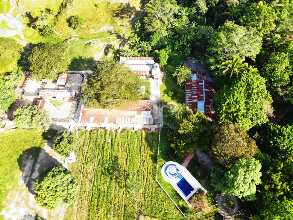 Finca ganadera en La Dorada 256 c