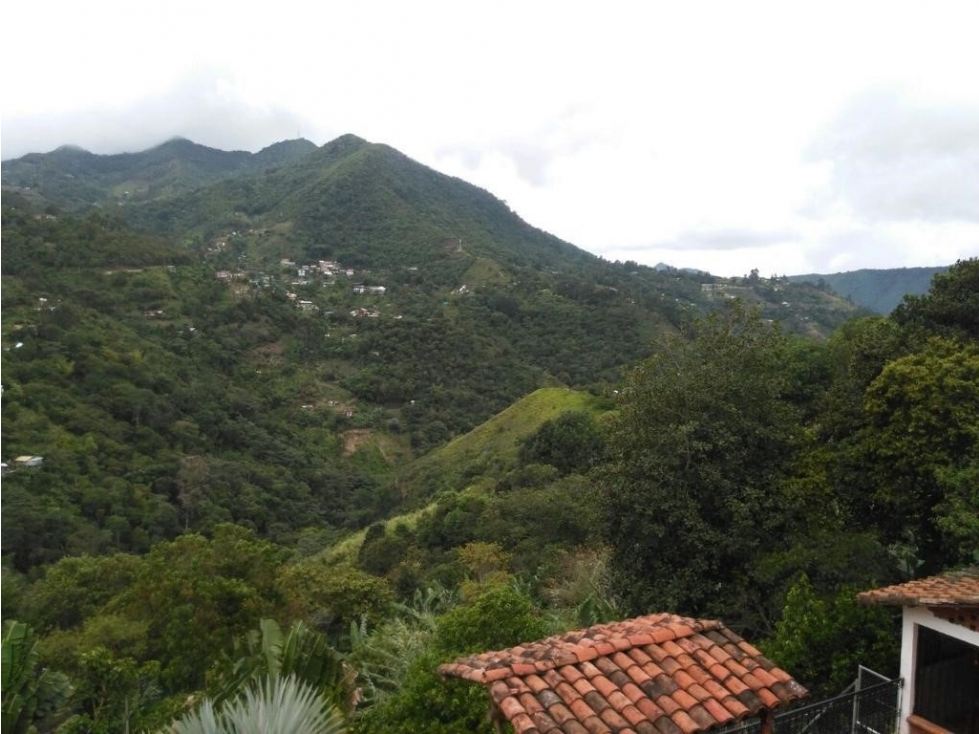 Finca venta Felidia