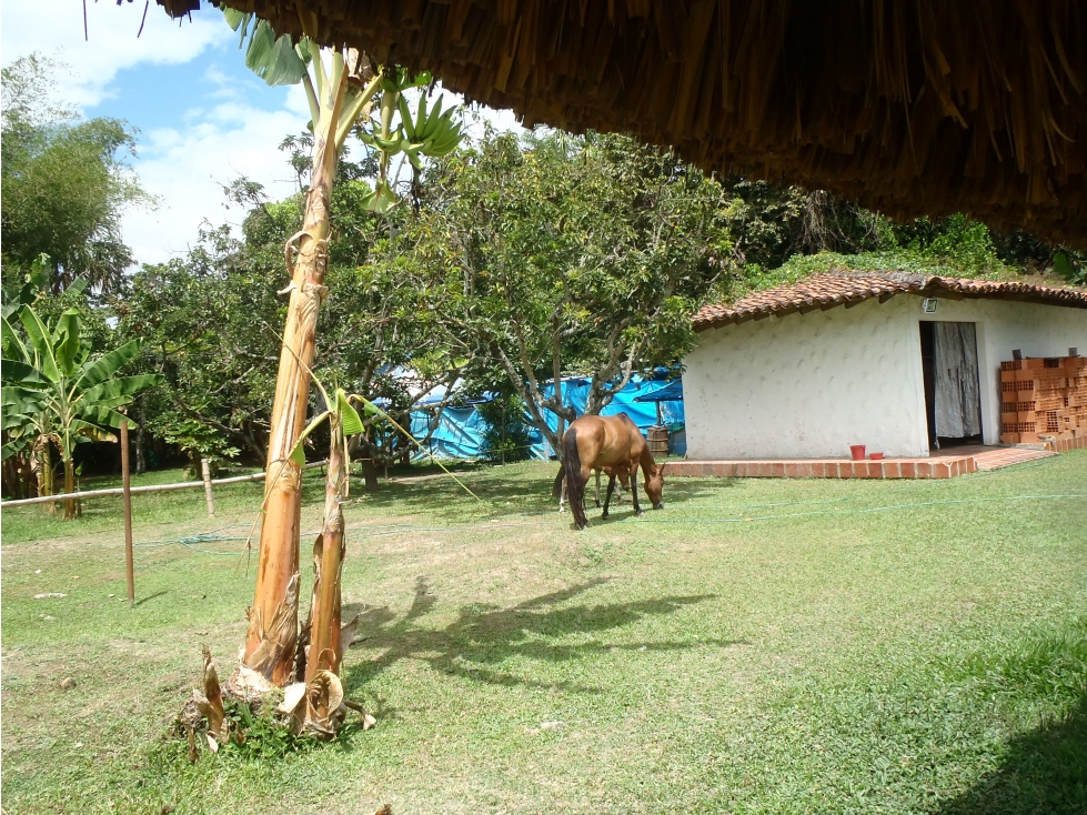 VENDEMOS FINCA DE RECREO PALMIRA - EL BOLO