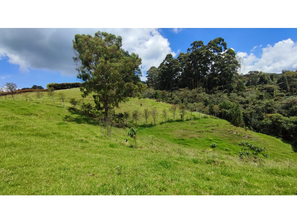 Venta Lote - Alto de las Palmas - Medellín