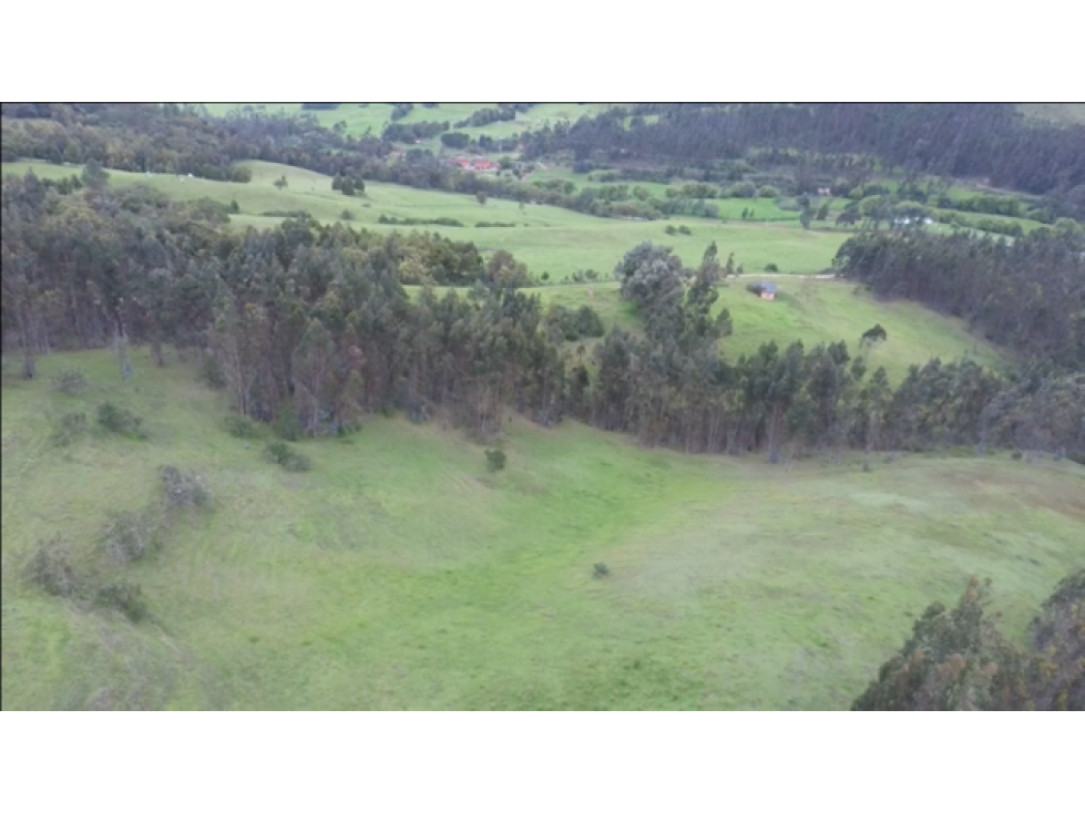 LOTE AGROINDUSTRIAL EN SISGA, CUNDINAMARCA