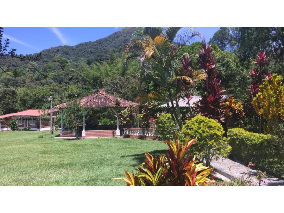 Finca para la venta en san Rafael Antioquia