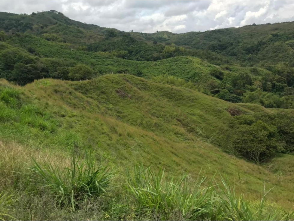 FINCA en VENTA en Sevilla Valle del Cuca .