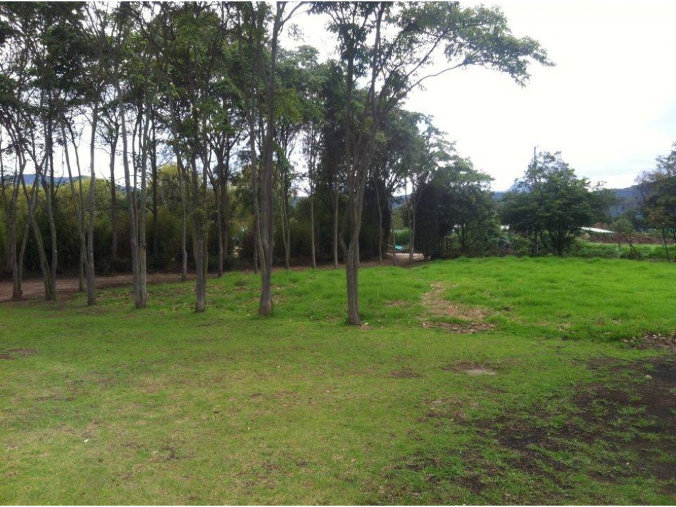 Vendo Finca Lote En Chia Vereda La Fagua