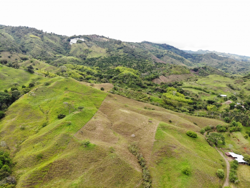 Finca en Quebrada Nueva Valle 91c